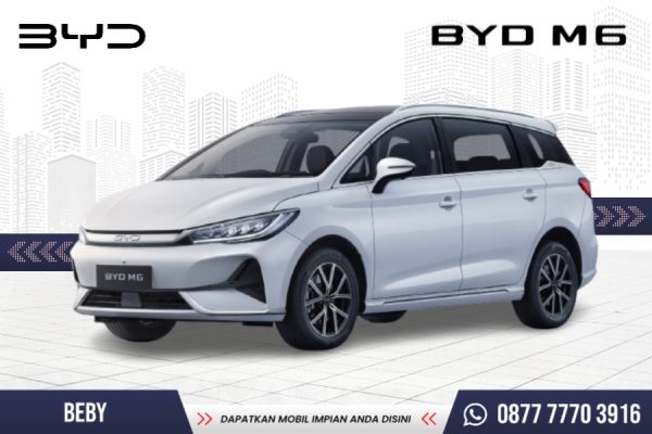 BYD M6