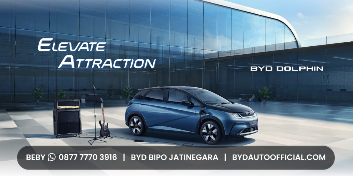 home banner byd dolphin